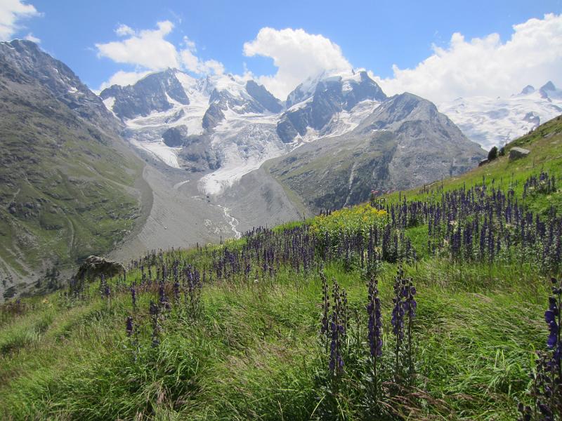 20120801_Engadin 007.JPG